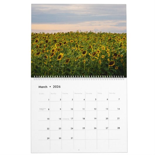Sunflower Wall Calendar 2026 カレンダー (3月 2026)