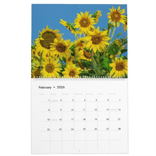 Sunflower Wall Calendar 2026 カレンダー (2月 2026)