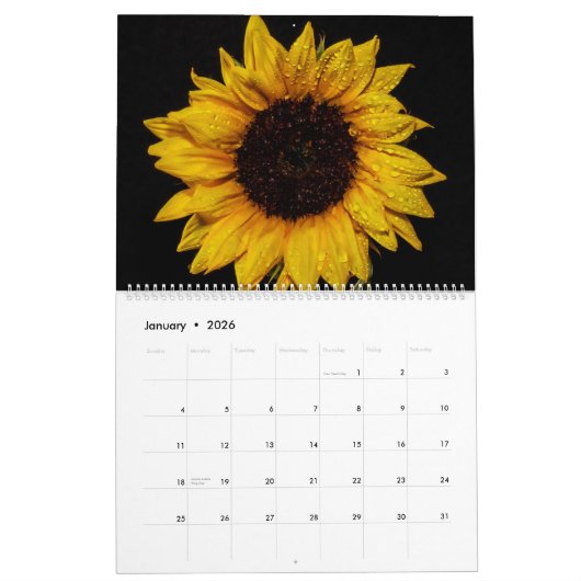 Sunflower Wall Calendar 2026 カレンダー (1月 2026)
