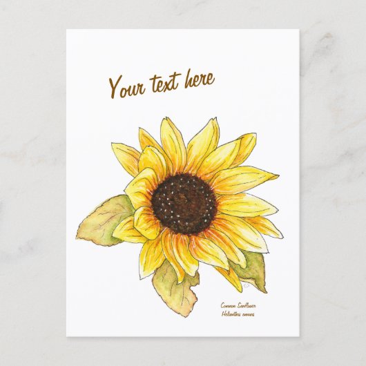 Sunflower watercolor customizable postcard ポストカード (正面)