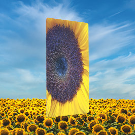 Sunflower with Blue Center Close up Metal Art メタルプリント