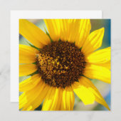 Sunflowers  (正面/裏面)