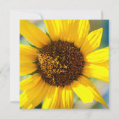 Sunflowers  (正面)