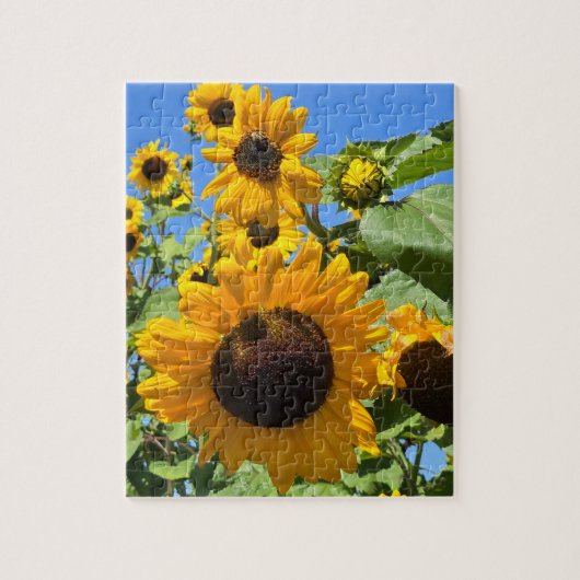 Sunflowers ジグソーパズル (縦)