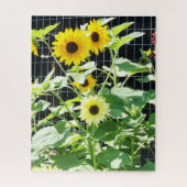 Sunflowers ジグソーパズル (縦)