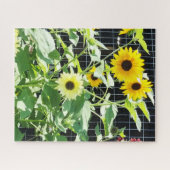 Sunflowers ジグソーパズル (横)
