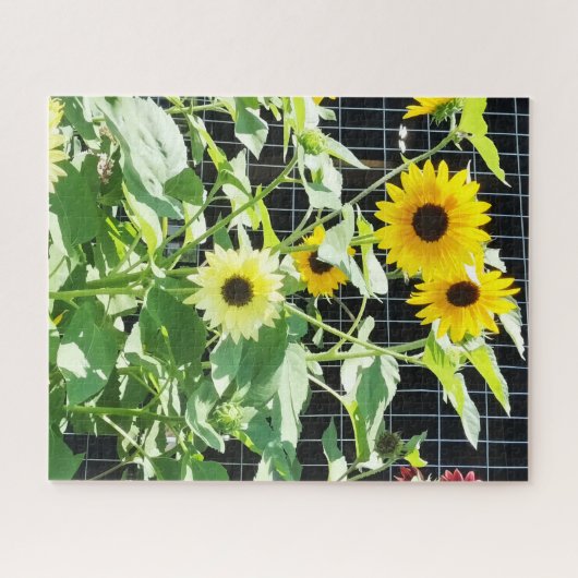 Sunflowers ジグソーパズル (横)