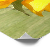 Sunflowers ポスター (角)