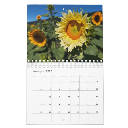 Sunflowers (2nd edition) カレンダー (1月 2026)
