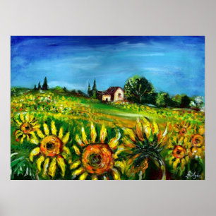 SUNFLOWERS AND COUNTRYSIDE IN TUSCANY,colossal ポスター
