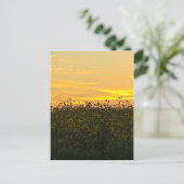 Sunflowers at Dusk ポストカード (スタンド正面)
