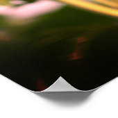 Sunflowers at RHS Wisley, UK ポスター (角)