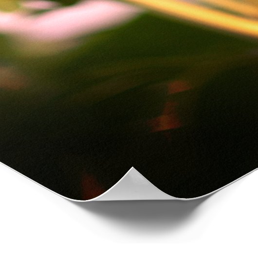 Sunflowers at RHS Wisley, UK ポスター (角)