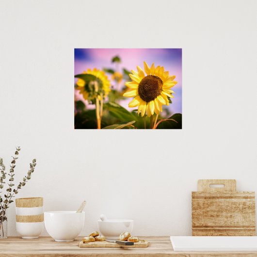 Sunflowers at RHS Wisley, UK ポスター (キッチン)