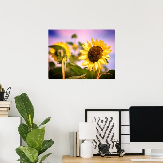 Sunflowers at RHS Wisley, UK ポスター (ホームオフィス)