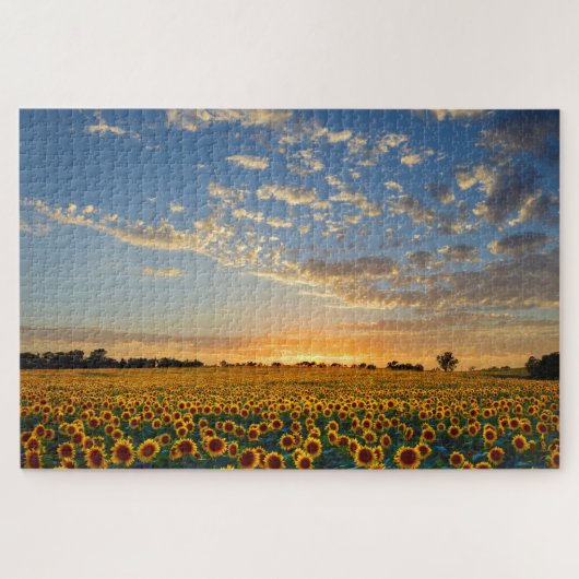 Sunflowers at Sunset Jigsaw Puzzle ジグソーパズル (横)