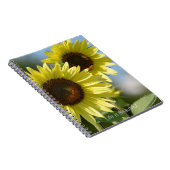 Sunflowers Bees (my photography) ノートブック (右側)