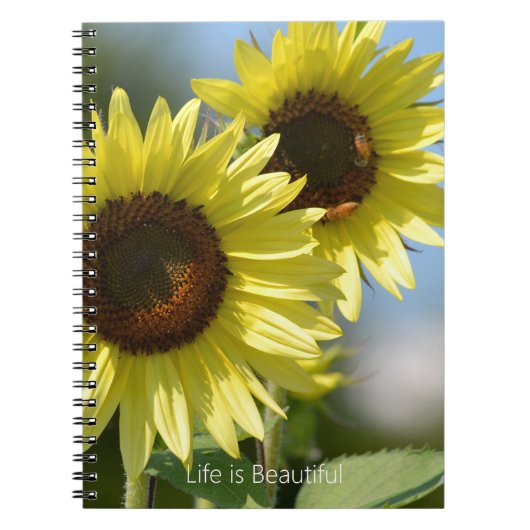 Sunflowers Bees (my photography) ノートブック (正面)