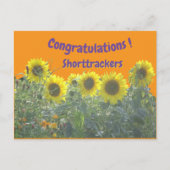 Sunflowers Congratulations Cust. Text Postcard ポストカード (正面)