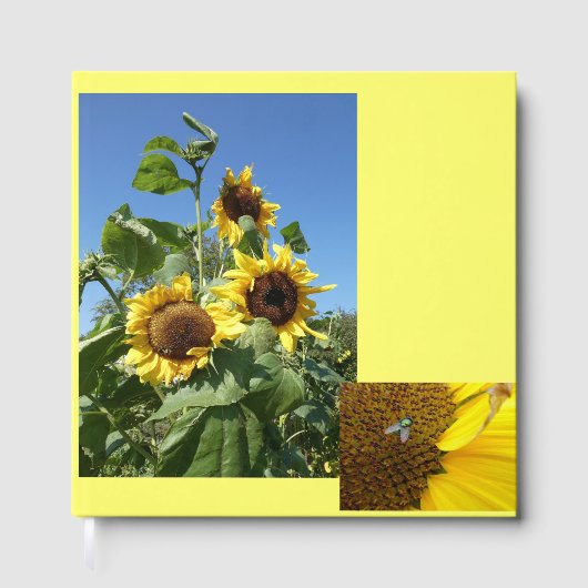 Sunflowers Guest Book ゲストブック (正面)
