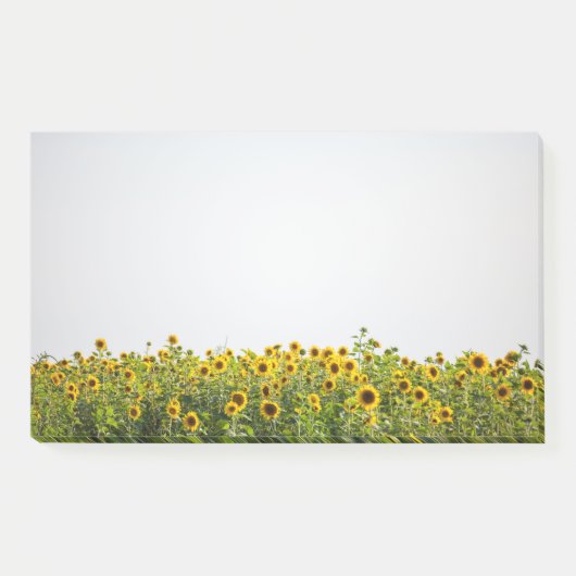 Sunflowers in a Field ポストイット (正面)