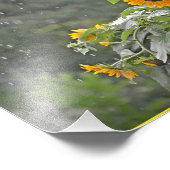 Sunflowers in Summer Rainフォトプリント フォトプリント (角)