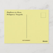 Sunflowers in Turen Poutguesa Venezuela ポストカード (裏面)