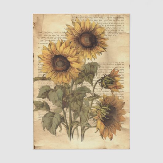 Sunflowers on Worn Style Parchment with Script 薄葉紙 (正面)
