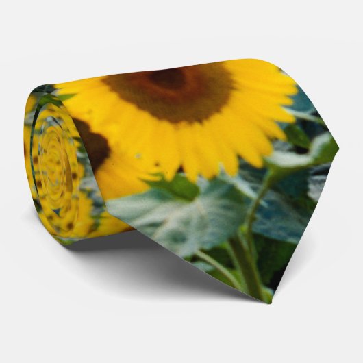 Sunflowers, Wisconsin field ネクタイ (ロール)