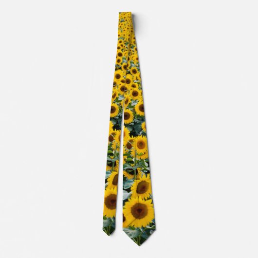 Sunflowers, Wisconsin field ネクタイ (裏面)