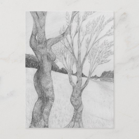 SunGatheringはがき ポストカード (正面)