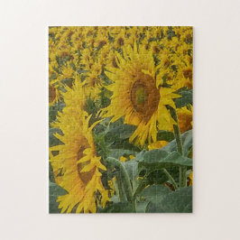 Sunkissed Sunflowers Puzzle, 11" x 14", 252 pieces ジグソーパズル