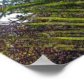 Sunlight on the Palm Frondsポスター紙 ポスター (角)