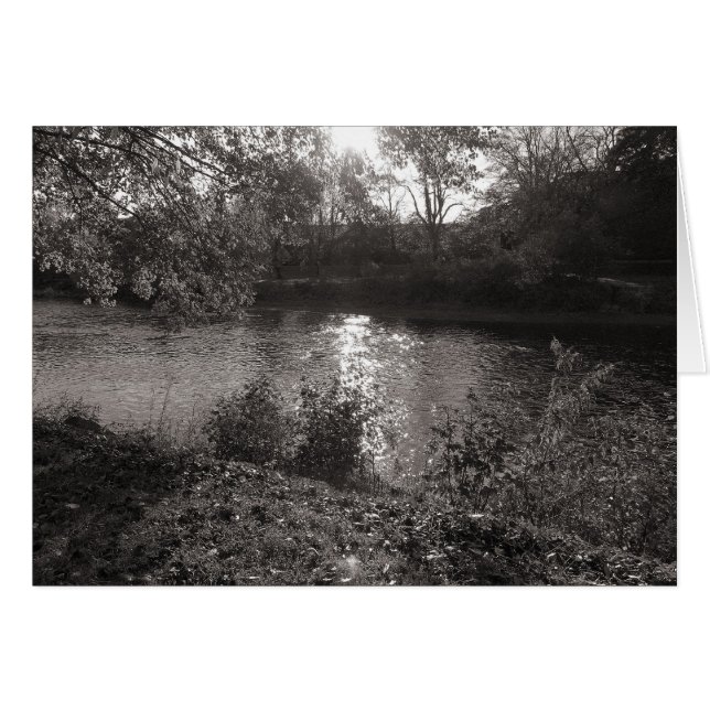 Sunlight on the Taff, Bute Park, Cardiff (正面横)