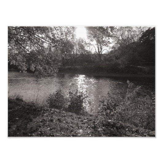 Sunlight on the Taff, Bute Park, Cardiff フォトプリント (正面)