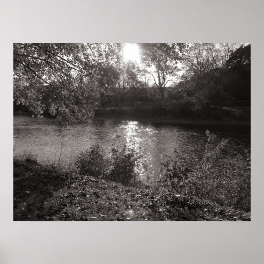 Sunlight on the Taff, Bute Park, Cardiff ポスター (正面)