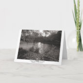 Sunlight on the Taff, Bute Park, Cardiff (縁ど) カード (裏面)