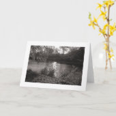 Sunlight on the Taff, Bute Park, Cardiff (縁ど) カード (黄色い花)