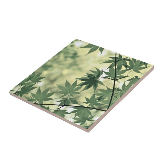 Sunlight Through Maple Leaves タイル (側面)