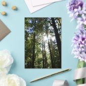 Sunlight Through Pine Trees アクリル招待状 (インサイチュ (ウェディング))