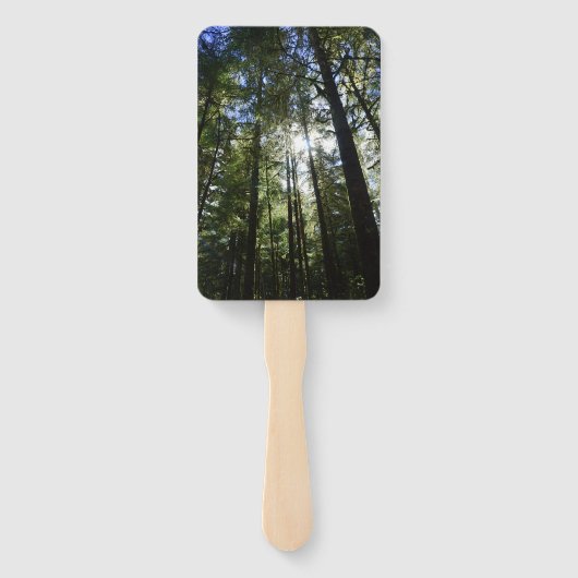 Sunlight Through Pine Trees ハンドファン (裏面)