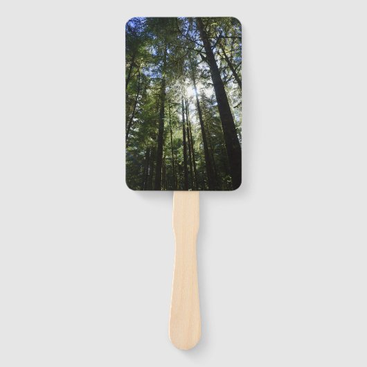 Sunlight Through Pine Trees ハンドファン (正面)