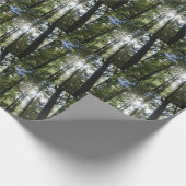 Sunlight Through Pine Trees ラッピングペーパー (角)