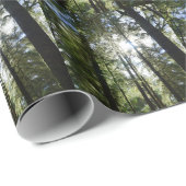 Sunlight Through Pine Trees ラッピングペーパー (ロールコーナー)