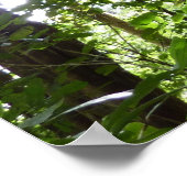 Sunlight Through Rainforest Canopy Tropical Green ポスター (角)