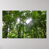Sunlight Through Rainforest Canopy Tropical Green ポスター (正面)