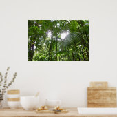 Sunlight Through Rainforest Canopy Tropical Green ポスター (キッチン)