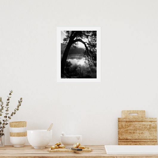 Sunlight through the Pines Poster ポスター (キッチン)