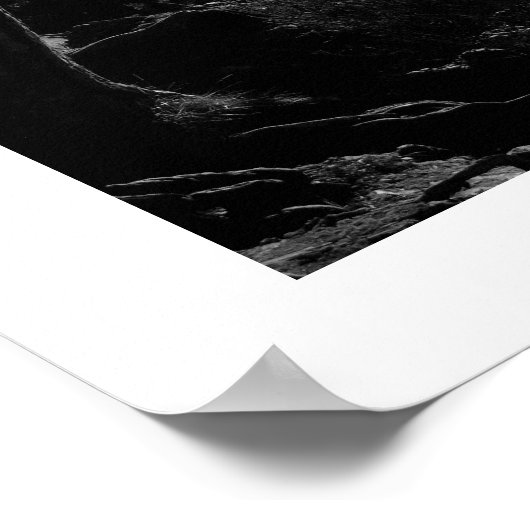 Sunlight through the Pines Poster ポスター (角)