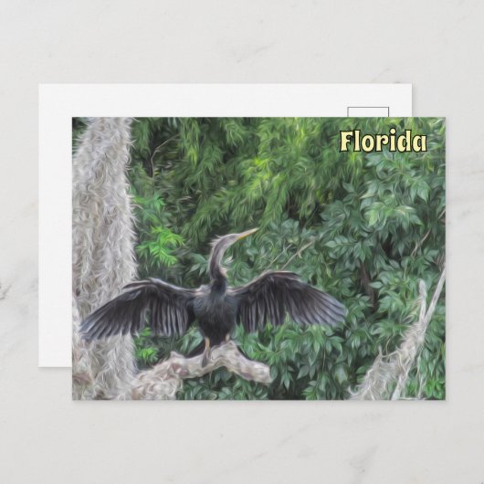 Sunlit Anhinga on a Mossy Branch – Oil‑Painting St ポストカード (正面/裏面)